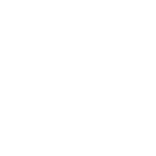 Focus Disability Support Services
